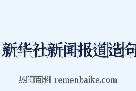 新华社新闻报道造句是什么意思的图片